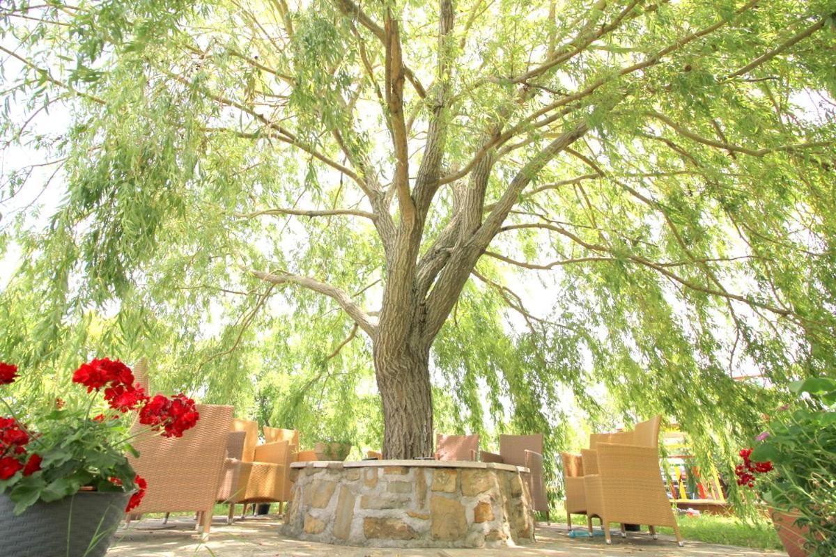 Green Place Apartments Порторож Экстерьер фото